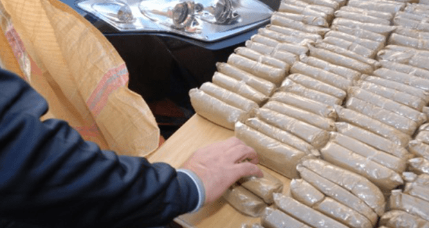 hachich-620×330