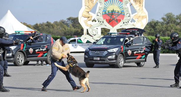 dgsn_police_170917