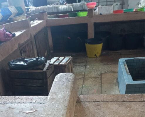 76b6fec9-9ce4-46a6-8025-7b74e1a260cb