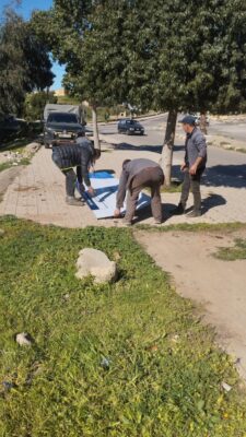 f7c2b19a-cad5-4d07-9a81-cf260f8f1d6c