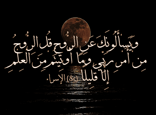 84c2b0df044e50a2763e8893aed6b31a-1