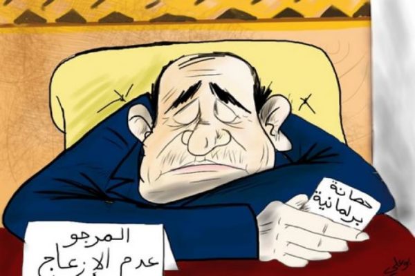 hassanaparlement_335487618