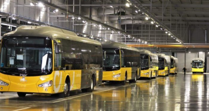 bus