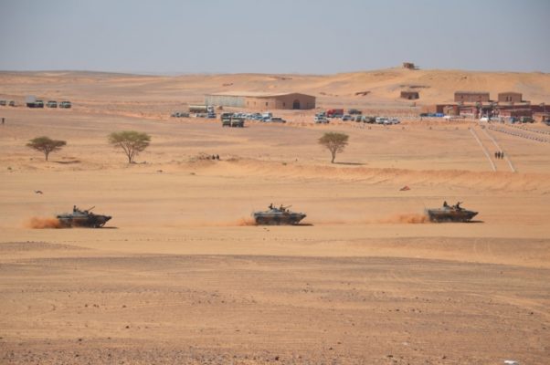 polisario