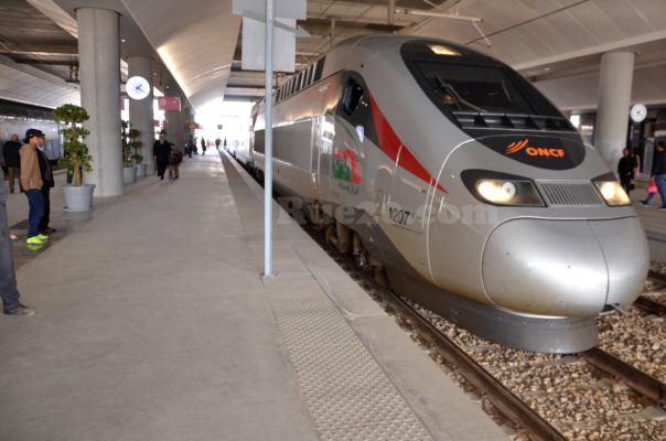 tgv-1