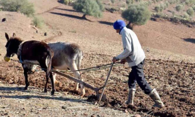 InShot_20251125_101556056-780×470