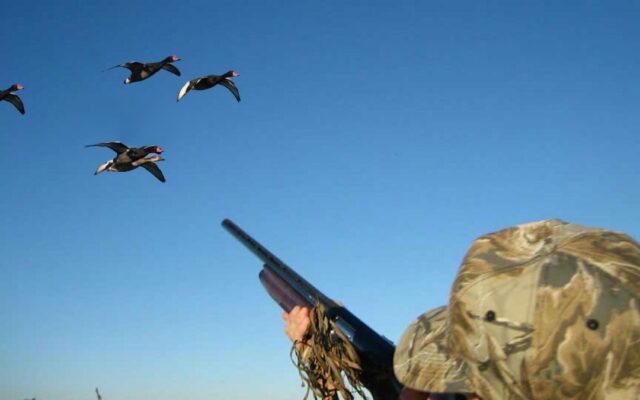 bird_hunting_in_azerbaijan_1920x1080_wwk-1080×675-1