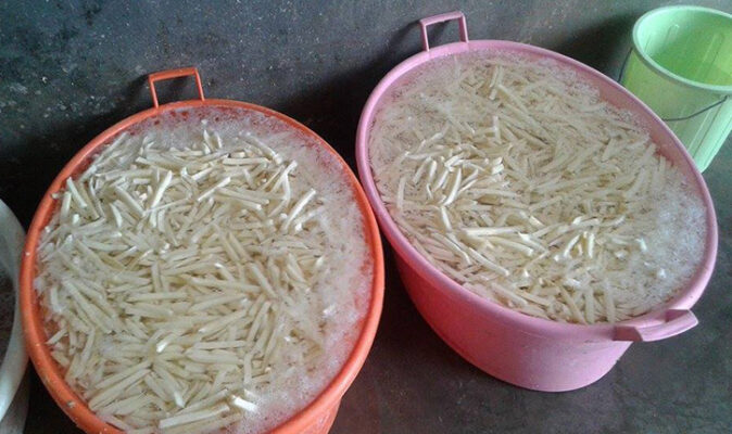 البطاطا-في-الكاف