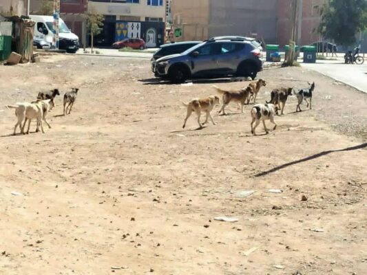 téléchargement (27)