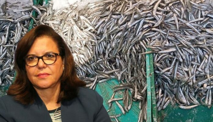 WhatsApp-Image-2025-05-26-at-12.02.12-750×430