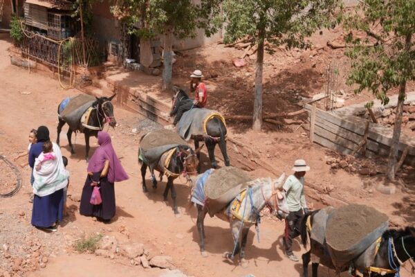 sans-adresse-tremblement-alhaouz-8