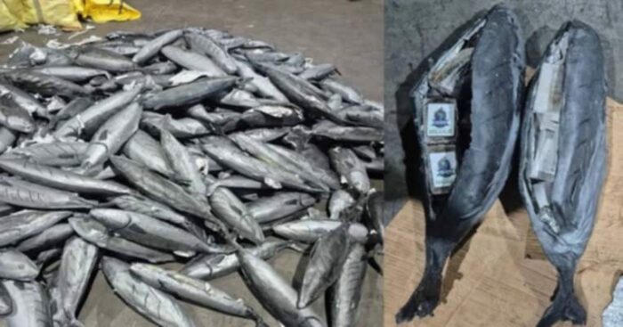 4e31ef80-f73b-4b92-98bb-832931ce7382