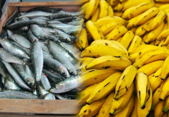 69ac169465ea5-1536×1068