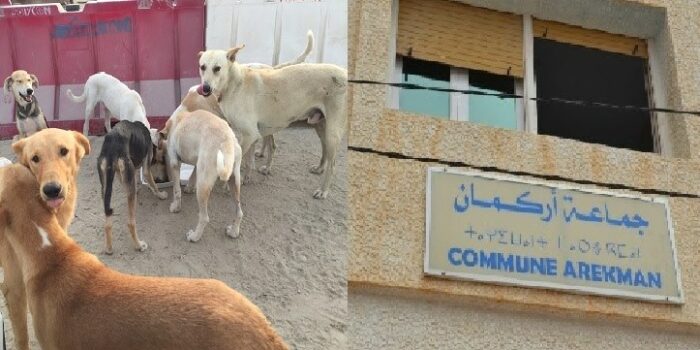 38392118_1068423619991377_1695011828368670720_n