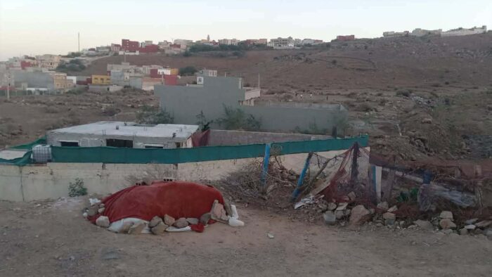 628c2ee2-60d0-430e-a23d-473ba090639a