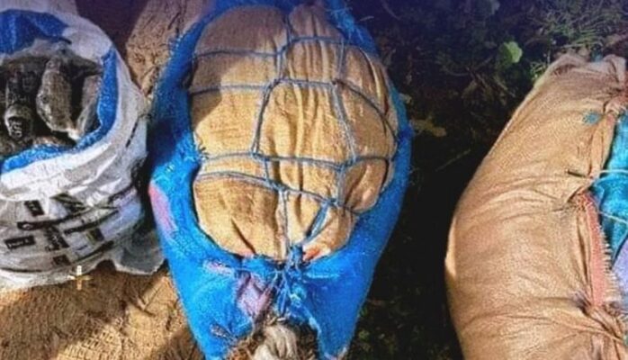 WhatsApp-Image-2026-04-08-at-11.20.06-750×430