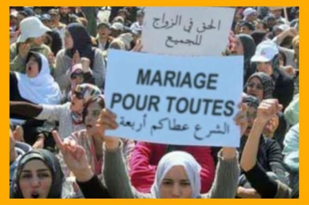 images (65)